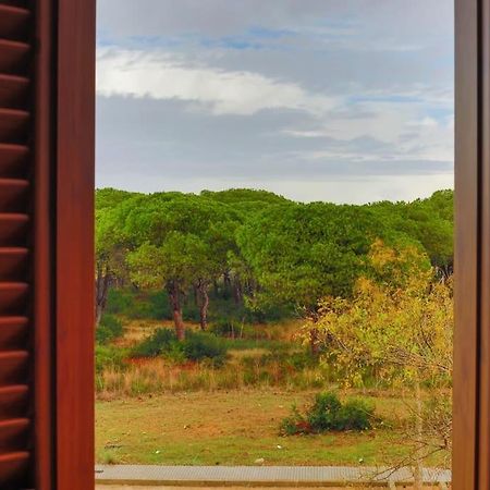 Precioso Apartamento A 700 M Del Mar Chiclana de la Frontera Kültér fotó